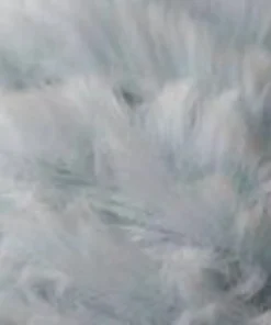 Alternative view of Fluffy Ghiaccio